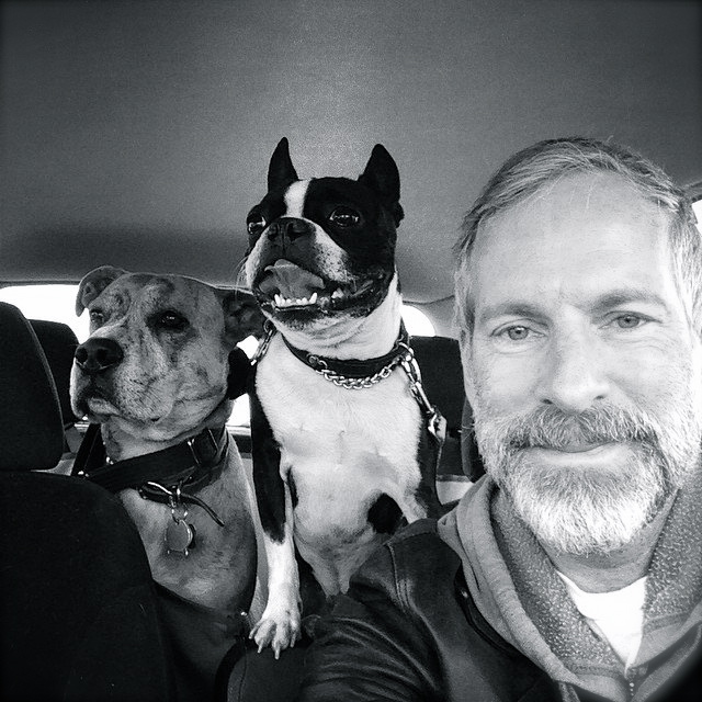 Rufus and Baxter in 2014
